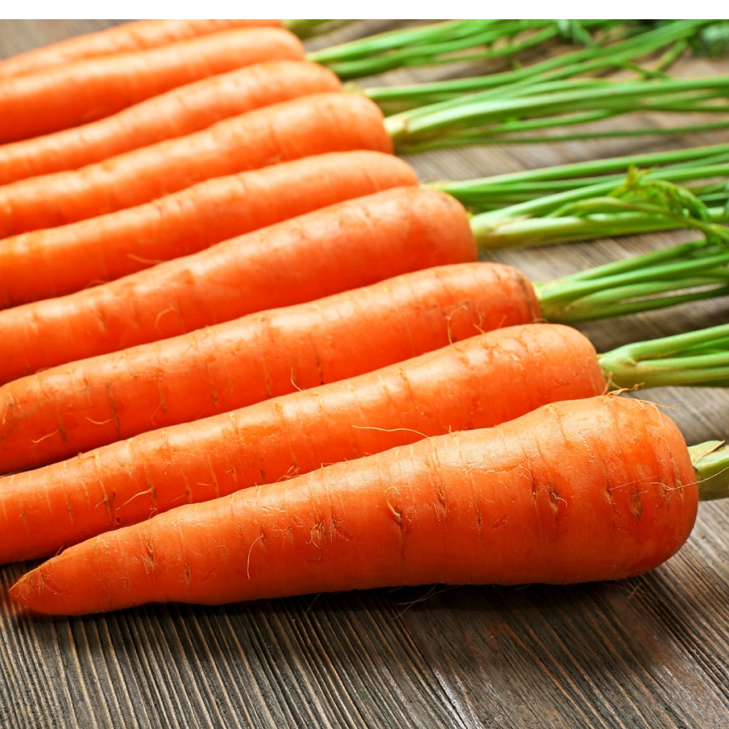 Морковь Наполи F1. Описание сорта